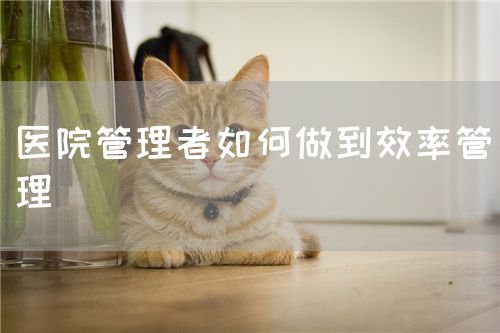 醫(yī)院管理者如何做到效率管理(圖1)