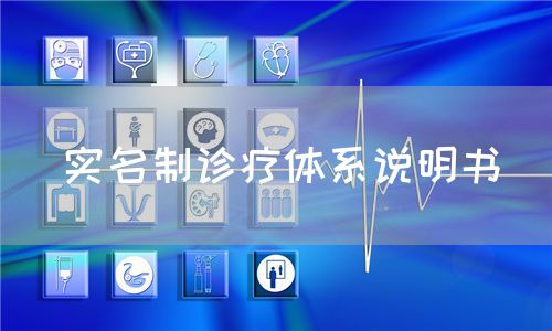 實(shí)名制診療體系說明書(圖1)