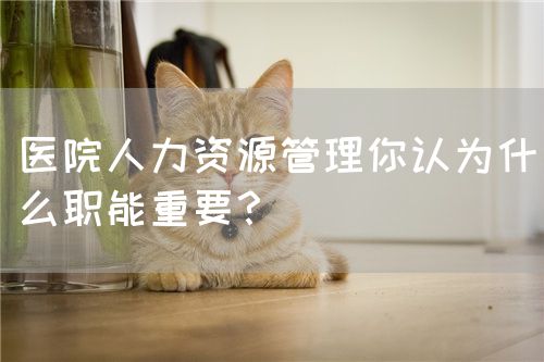 醫(yī)院人力資源管理你認(rèn)為什么職能重要？(圖1)